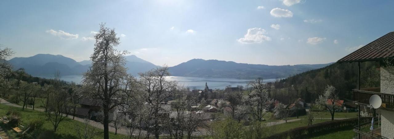 Attersee-Chalet Angermann Familie Spalt 阿特湖畔施泰因巴赫 外观 照片