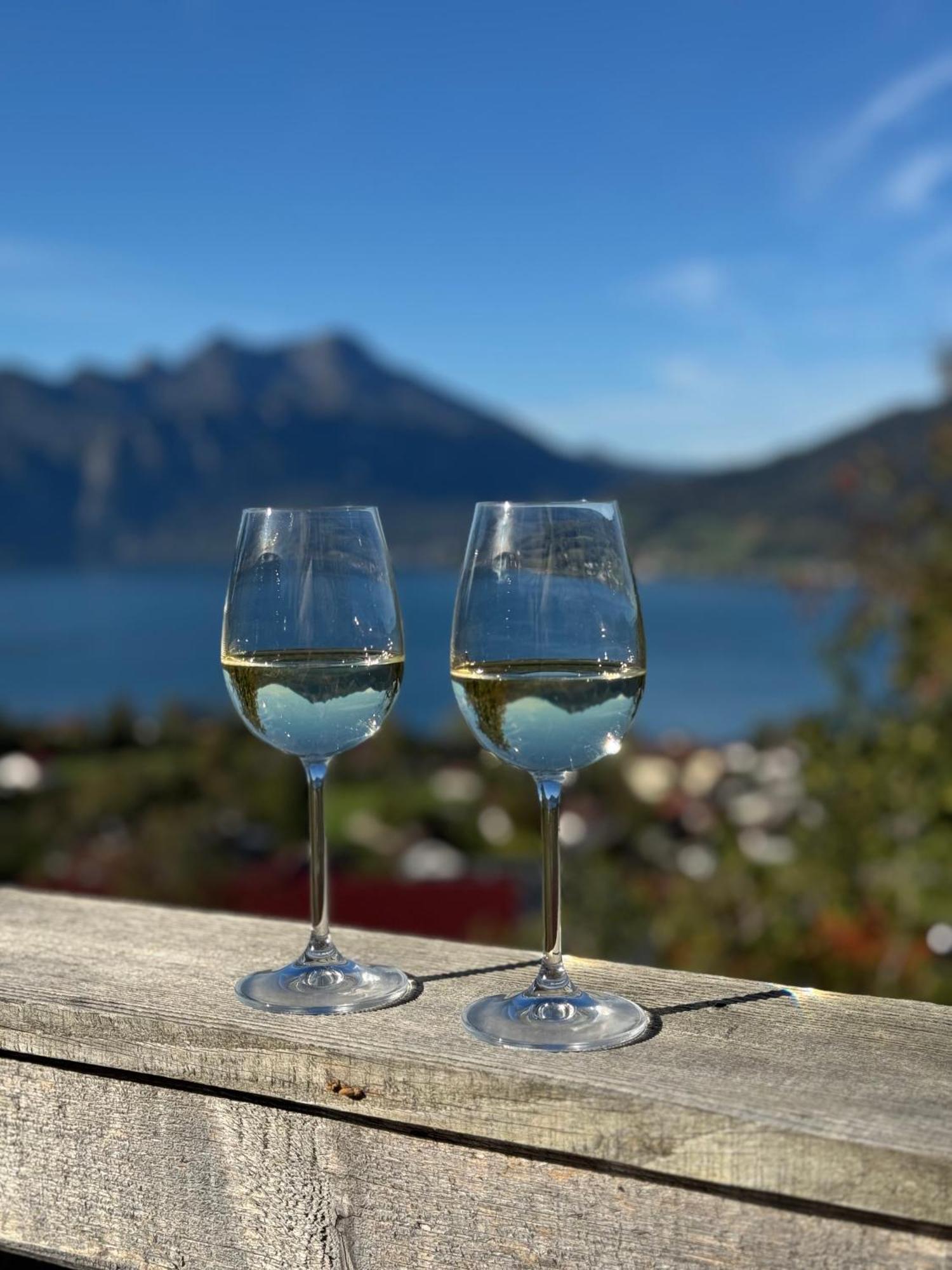 Attersee-Chalet Angermann Familie Spalt 阿特湖畔施泰因巴赫 外观 照片