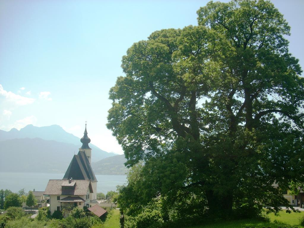 Attersee-Chalet Angermann Familie Spalt 阿特湖畔施泰因巴赫 外观 照片