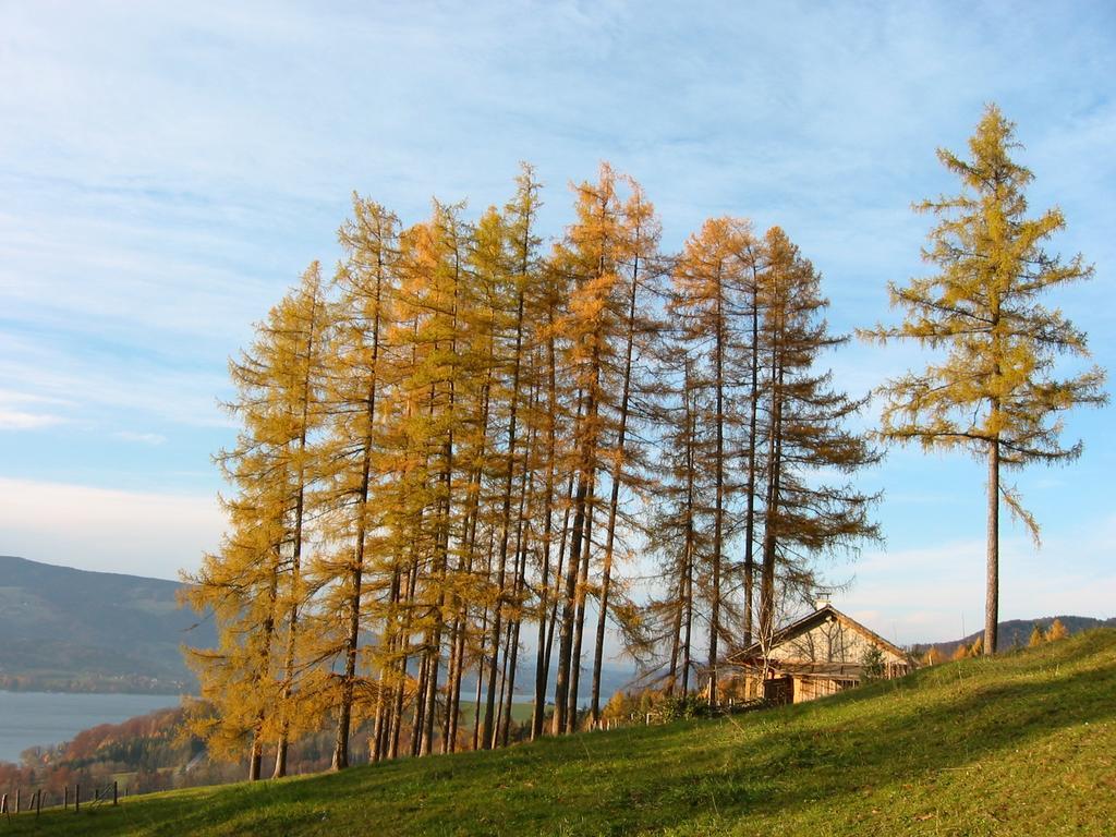 Attersee-Chalet Angermann Familie Spalt 阿特湖畔施泰因巴赫 外观 照片